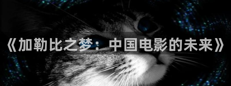 飘花网手机版在线观看电视剧：《加勒比之梦：中国电影的未来》
