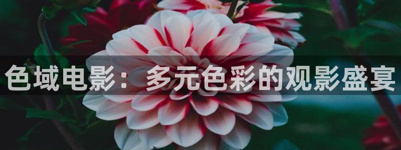 飘花电影网院：色域电影：多元色彩的观影盛宴