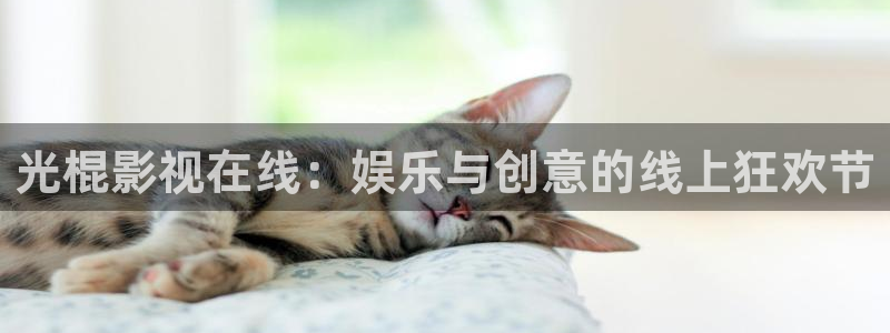 飘花影院午夜电影网：光棍影视在线：娱乐与创意的线上狂欢节