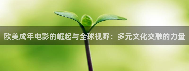 飘花电影网大全免费观看：欧美成年电影的崛起与全球视野：多元文化交融的力量