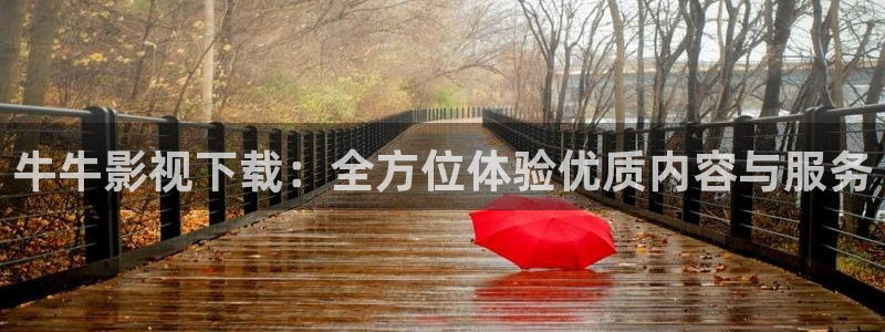 飘花影院 在线：牛牛影视下载：全方位体验优质内容与服务