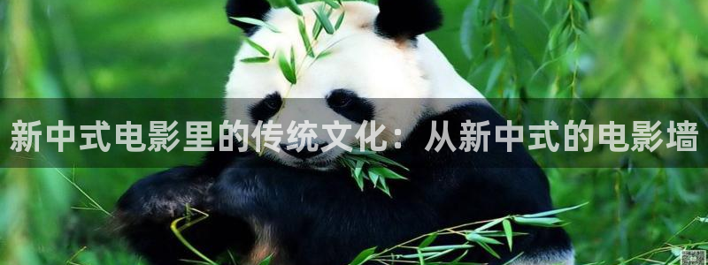 飘花电影网网：新中式电影里的传统文化：从新中式的电影墙