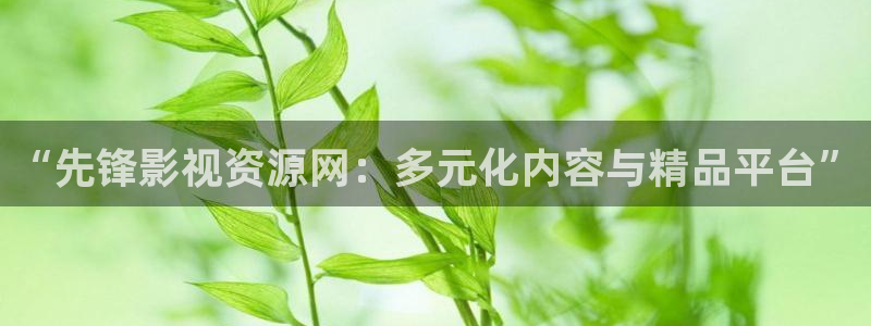 飘花手机电影院：“先锋影视资源网：多元化内容与精品平台”